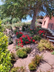 scarpata con cespugli