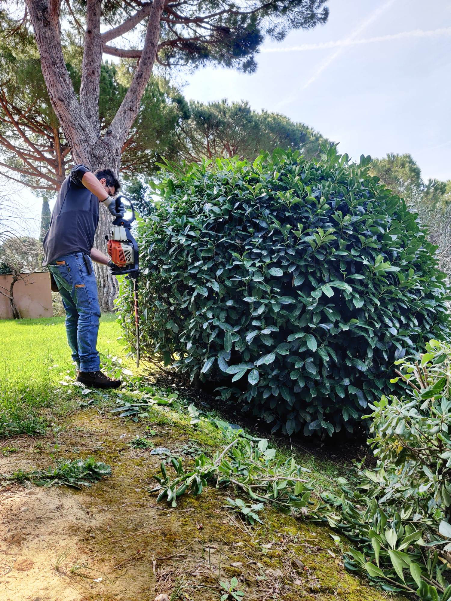 Image hover effect image