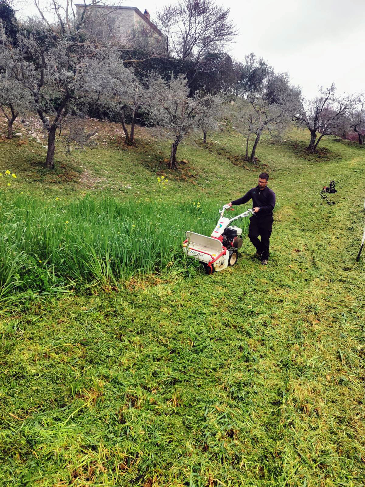 Image hover effect image